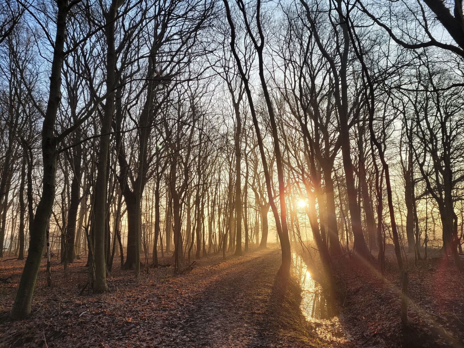 happy socks - Hart Uitvaart